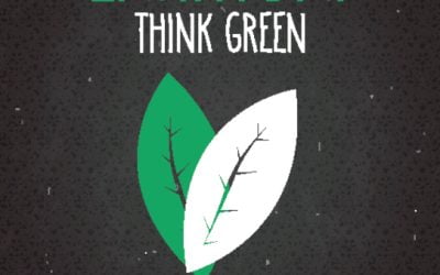 Tips for Environmentally Friendly Asphalt Maintenance