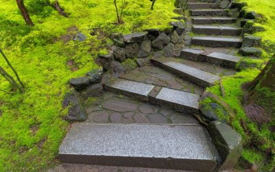 Hardscaping Maintenance Tips