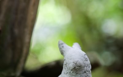 The Benefits of Concrete in Residential Landscapes