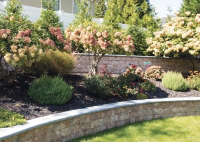 Flowering shrubs and greenery planted along a curved stone retaining wall in a sunny backyard garden.