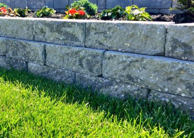 Close-up of a stone retaining wall with green grass and small flowering plants on top.