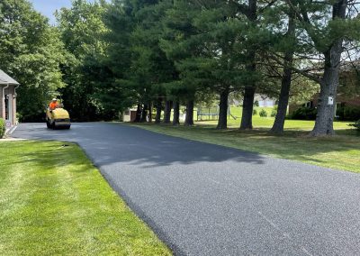 A worker on a steamroller paves a driveway lined with trees on a sunny day.