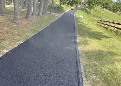 A newly paved asphalt path runs through a park with trees on the left and grass on the right.